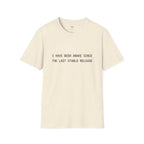 I Have Been Awake Since the Last Stable Release T-Shirt